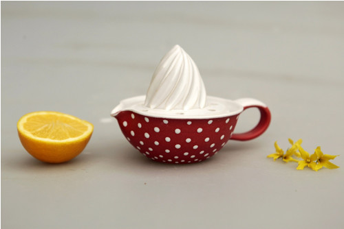 Citronovník mochomůrka — foto 3