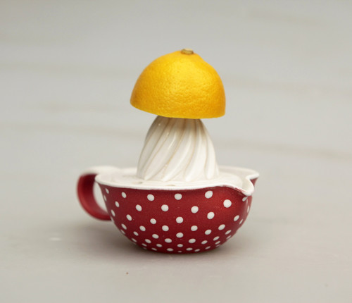 Citronovník mochomůrka — foto 5