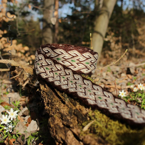 Karetka "Jarné prebúdzanie" — foto 5