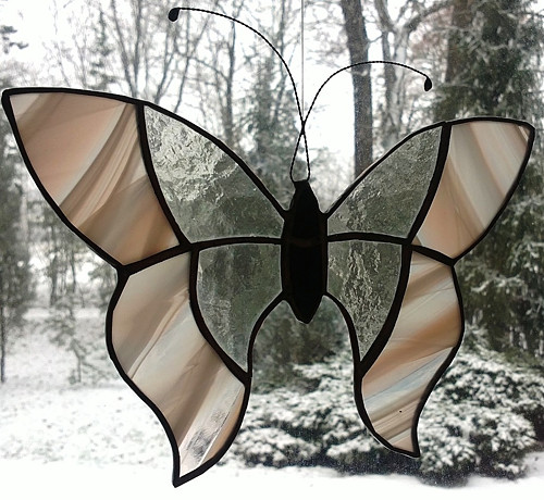 Motýl Ali — foto 3