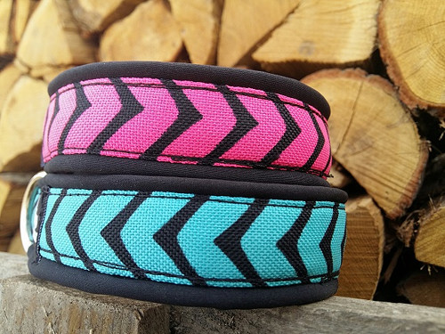 Obojek Dinofashion Pinky — foto 4