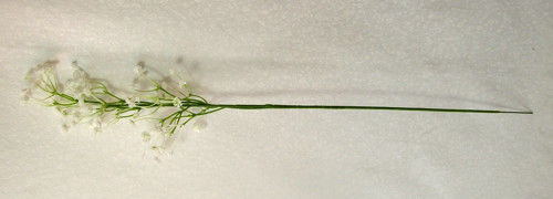 Nevěstin závoj — foto 2