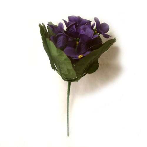 Fialky — foto 2