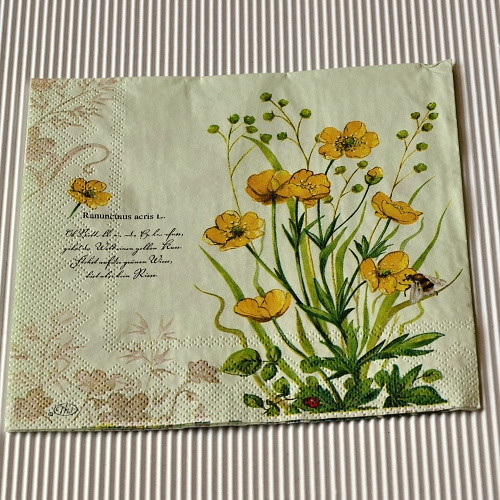 Ubrousek - Anemone — foto 2