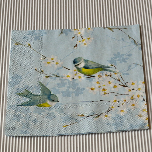 Ubrousek - Jarní ptáčci — foto 2