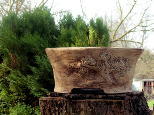 Bonsai miska světlá velká — foto 4