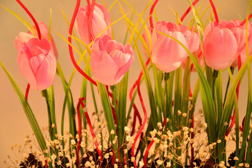 Košík plný tulipánů — foto 2