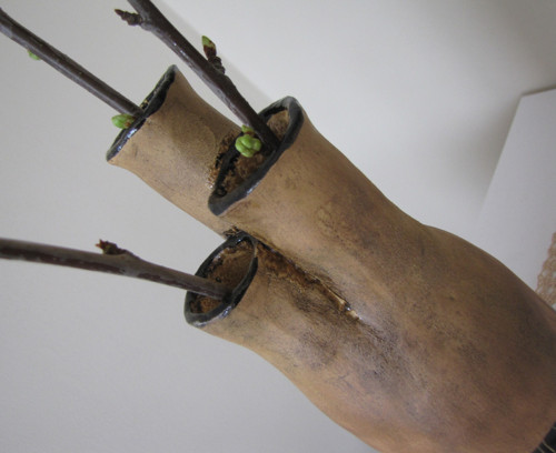 Váza aorta — foto 2