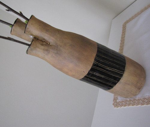 Váza aorta — foto 3