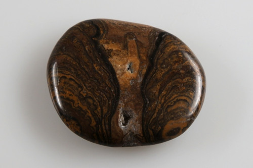 Stromatolit 4,2 cm — foto 2