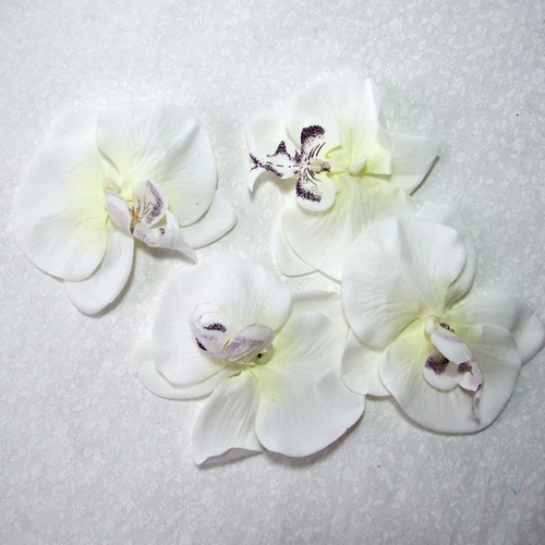 Květy orchidejí 4 ks bílé — foto 2