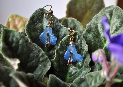 Modré zvonky / Bluebells — foto 3