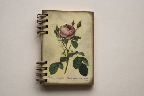 Rose — foto 2
