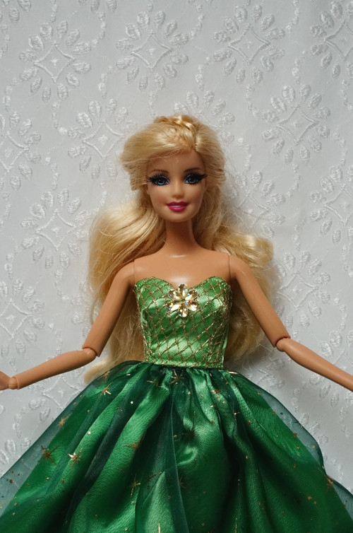 Princezna Anna — foto 4