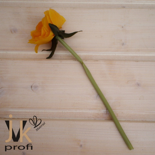 Pryskyřník - žlutý — foto 5