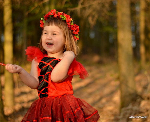 S čerty nejsou žerty — foto 2