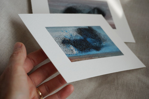 Hejna — foto 3