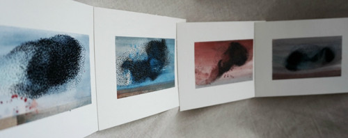 Hejna — foto 4