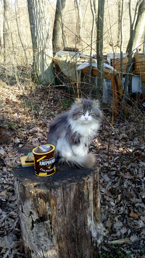 Plechová dóza od tabaku — foto 3