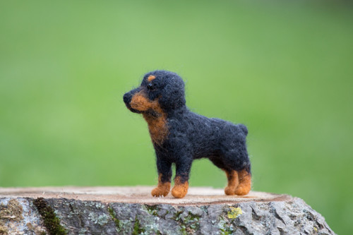 Rotvailer Monty — foto 3