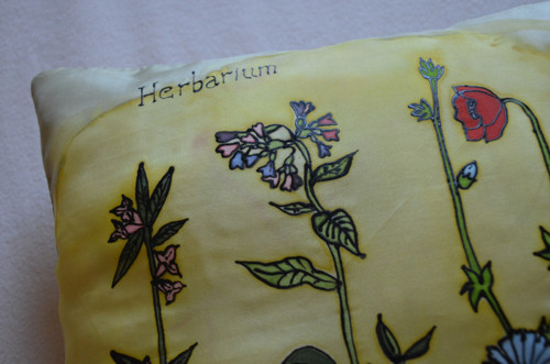 Herbář — foto 2