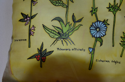 Herbář — foto 3