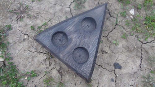Svietniček Triangulum — foto 4