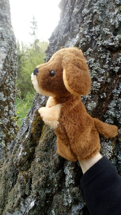 Maňásek...pejsek — foto 2