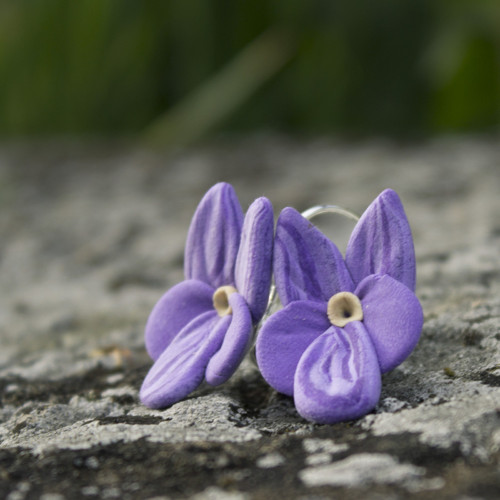 Violka vonná - náušnice — foto 2