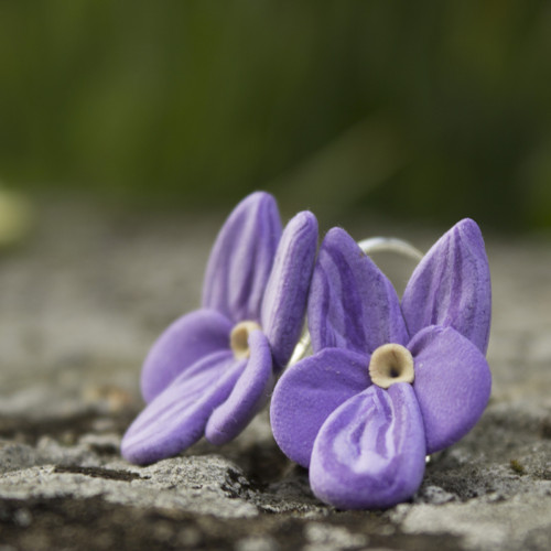 Violka vonná - náušnice — foto 4