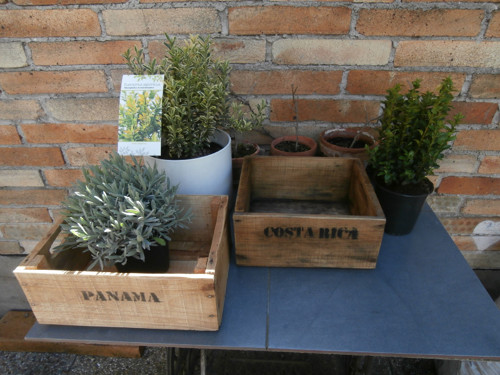 Coffee Box - Panama — foto 2