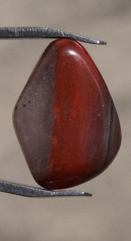 Heliotrop D2687 — foto 2