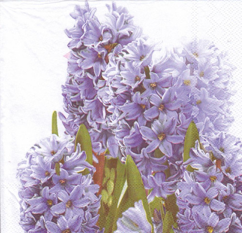 Ubrousek - hyacinty (2 ks - AKCE) — foto 3