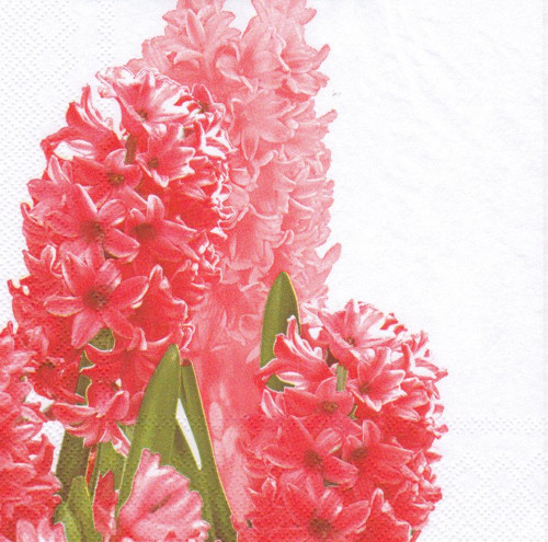 Ubrousek - hyacinty (2 ks - AKCE) — foto 4
