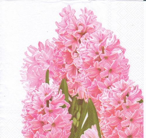 Ubrousek - hyacinty (2 ks - AKCE) — foto 5