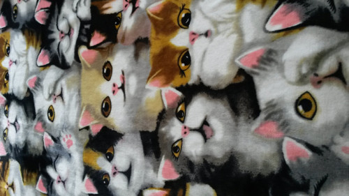 Fleece deka kočky — foto 2
