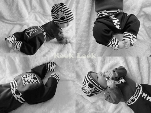 Softshellové Zevláčky Zebra — foto 3