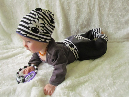 Softshellové Zevláčky Zebra — foto 6