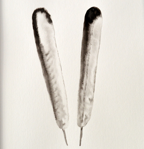 Pírko - V — foto 2