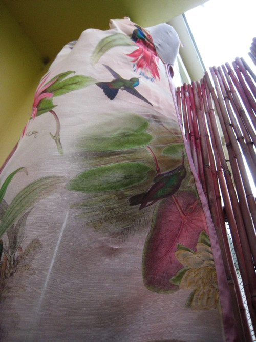 Kolibříci na orchidejích — foto 2