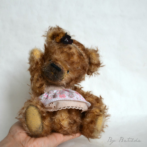Medvídek Penny — foto 2