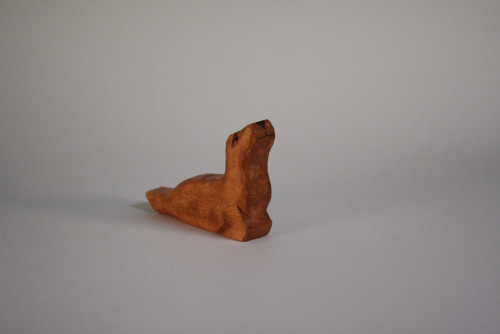 Lachtan — foto 3