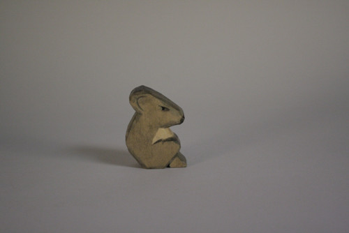 Koala — foto 4