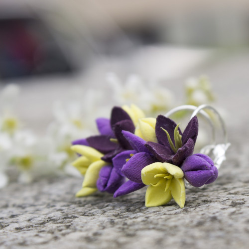 Fialové květy — foto 3