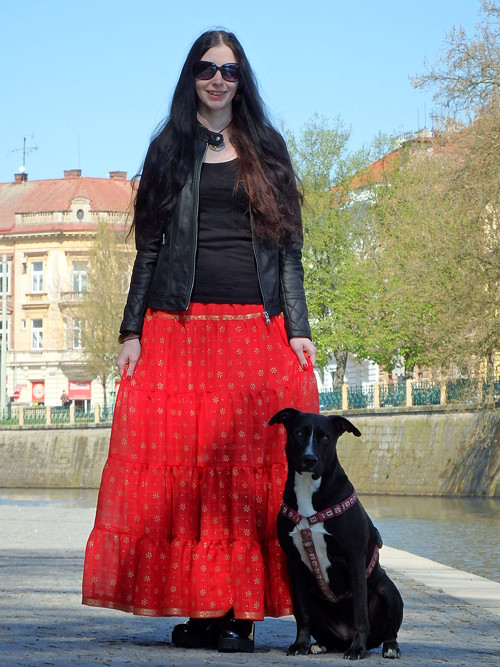 Zlatočervánková víla — foto 5