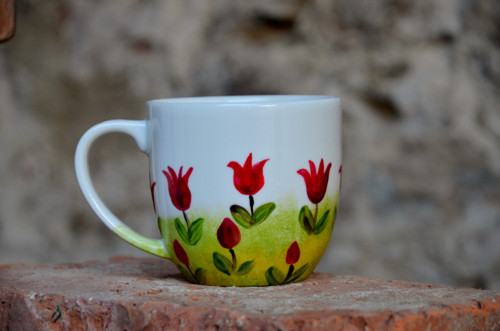 Bertíček v tulipánech — foto 3