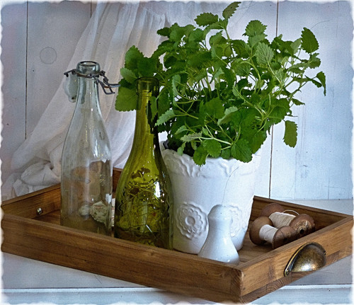 Babička Juliette — foto 3