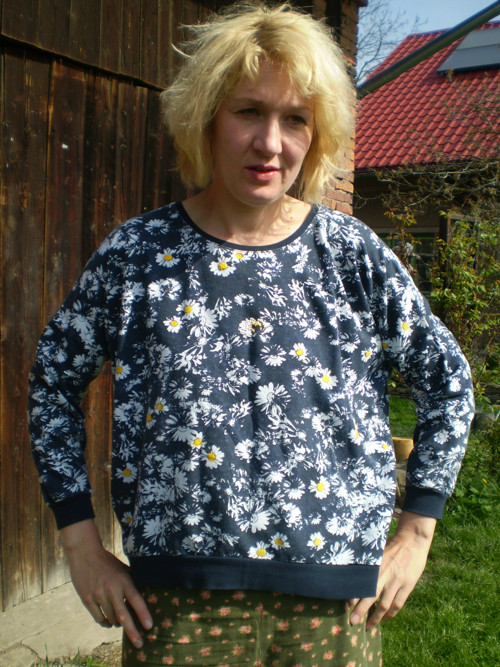 Kopretinka — foto 3