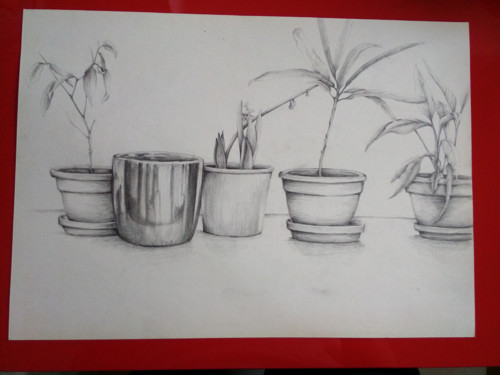 Parapet — foto 2