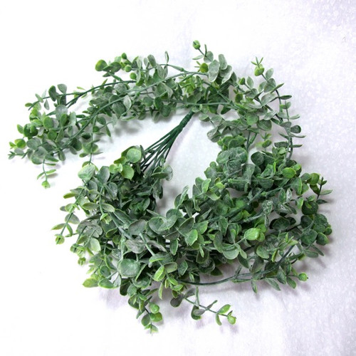 Eucalyptus - převis — foto 2